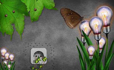 Eco Home Adaptations