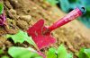Garden Tools – how choosing the right tool for the job can make light work of all your gardening tasks