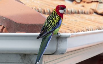 Types Of Leaf Guard Gutters