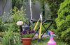 How to make your garden look nice on a budget